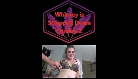 Whitney is Strapped Down Camera 2 MP4