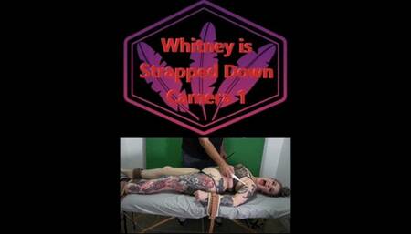 Whitney is Strapped Down Camera 1 MP4