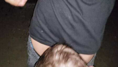 Blowjob in the Woods