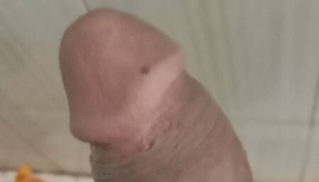 Indian Cock Action