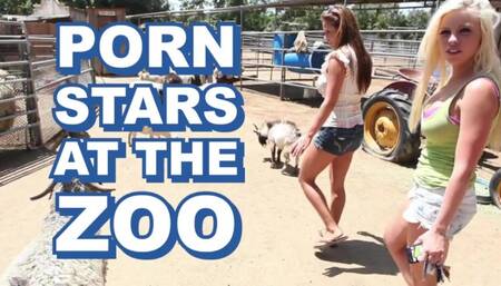 BANGBROS - Sexy Pornstars Invade Famous Zoo & Fuck Zookeeper