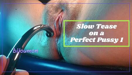 Slow Tease Pulsing Pussy