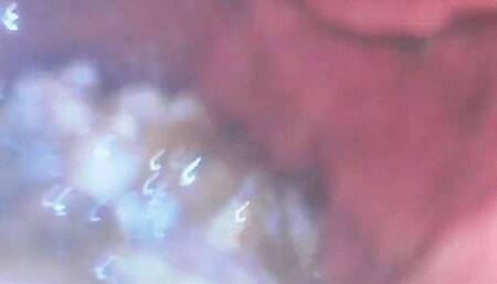 You are in the Belly of a Giant Woman POV 1080