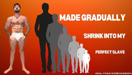 Made gradually shrink into my perfect slave