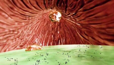 Tinies Trapped in Giantess Huge Stomach 1080