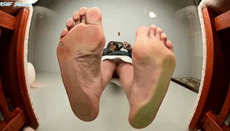 Bully GEM grew and now has tiny people underfoot!! Part 2 - MP4