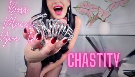 Your Boss Places You In Chastity HD 1080p MP4