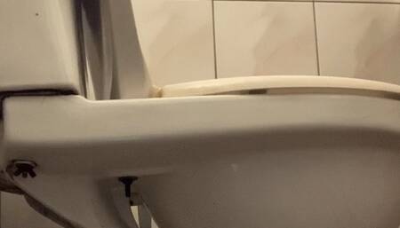 afternoon sitting on the toilet