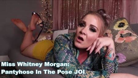 Miss Whitney Morgan Pantyhose In The Pose JOI - mp4