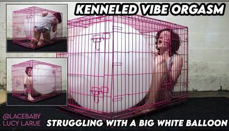 Kenneled Vibe Orgasm Struggling with a Big White Balloon