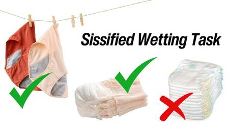 Sissified Wetting Task (audio mp4)