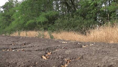 Heels stuck into the ground c