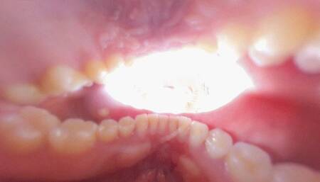 Enrieta and the Vore Volunteer 6K VR360