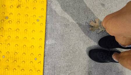 Tempest power walks to the library