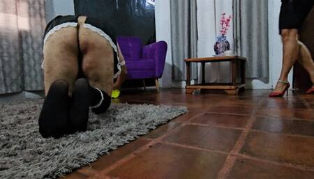 CT Belting Nightmare for the sissy French Maid by Milah and Katherine