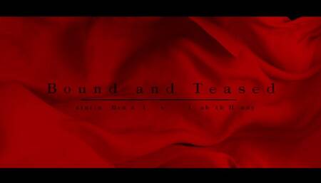 Bound And Teased Submissive Pleasure