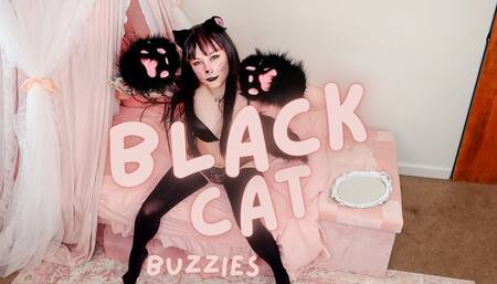 Black Cat Diaper Cummies