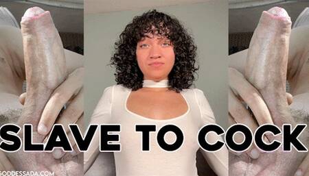 Slave To Cock - GAY JOI, ENCOURAGED BI by Goddess Ada