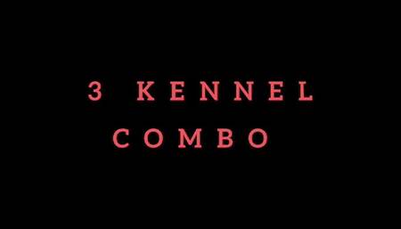 3 Kennel COMBO