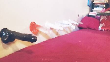 7 Dildos On The Wall (So many choices)