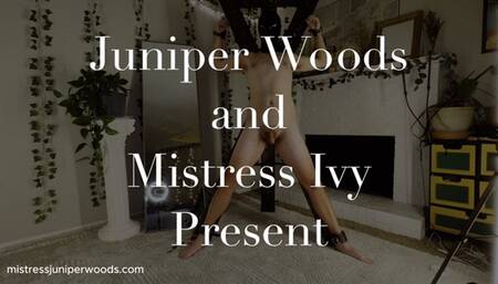 Double domme ballbusting