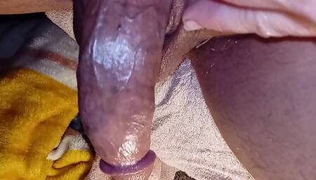 Assian Big Black Dick Pornstar Horney Desi