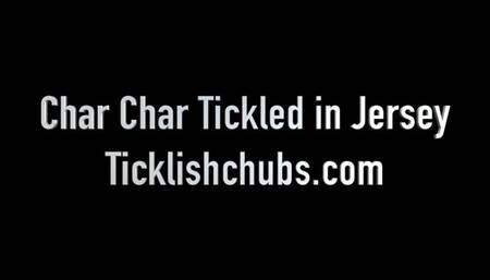 Char Char Tickled in Jersey