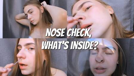 Examination of the nose and nasal flexibility