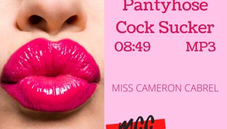 Pantyhose Cock Sucker (Audio MP4)