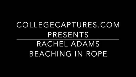 Rachel Adams: Beach hogtie