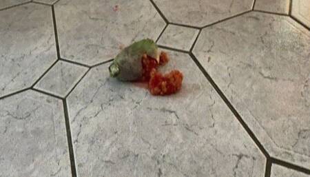 Crush Prickly Pear