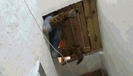 Someone decided to play a joke, or play with me? WMV (1920x1080) FHD