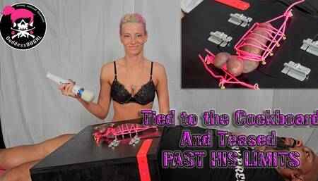 Sexual Sadism - Cockboard Experiment #1