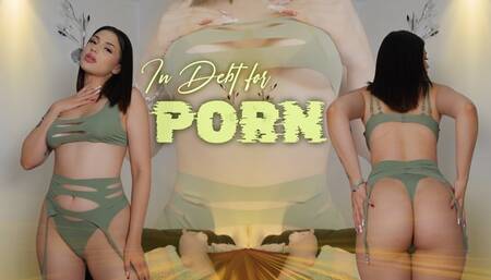In Debt for Porn