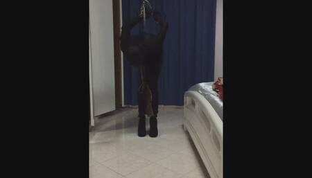 hanging from the ceiling