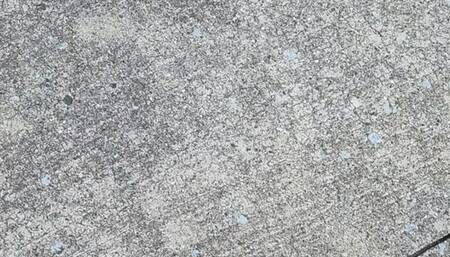 Tempest walking to bus stop