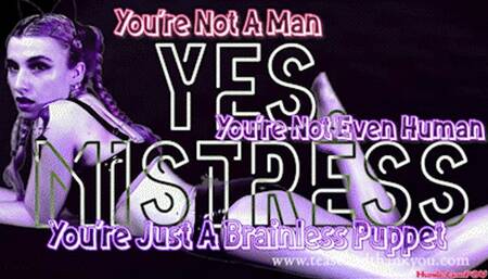 Brainless Bitch Puppet Controlled By Beta Porn Clips