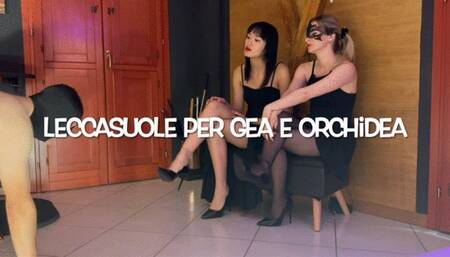 GEA DOMINA - A SOLE LICKER FOR GEA AND ORCHIDEA (MOBILE)