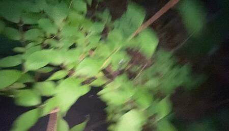 Giantess Vs Tiny Village 1080