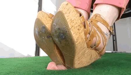 CC - Dusty Humiliation