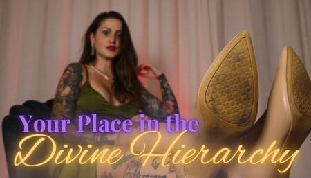 Your Place in the Hierarchy