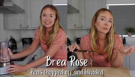 Penis chopped off and blended - penectomy