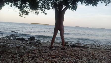 Morning Glory at the Beach