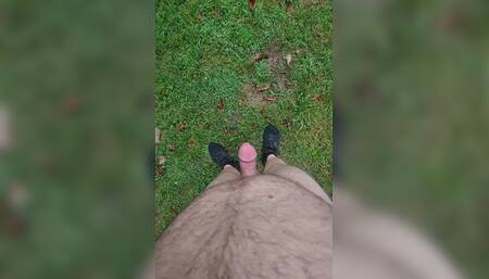 Early Morning Walk in the Park