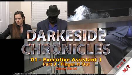Darkeside Chronicles 01 - Executive Assistant 1 - Part 3