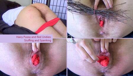 Hairy Pussy and Red Undies : Stuffing and Spanking (WMV)