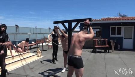 5 Dommes whipping slaves outdoors | Black Nymphe, Mistress Alexandra, Mistress Hellfire, Lilith Last Witch, Mistress Tirza