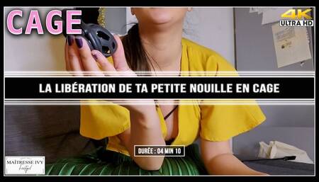 La libération de ta petite nouille en cage 4K