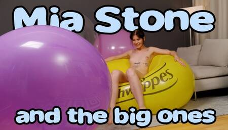 1549 Mia and the big ones