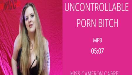 Uncontrollable Porn Bitch || AUDIO MP4 || VERBAL HUMILIATION